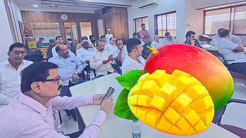 Konkan Hapus Mango