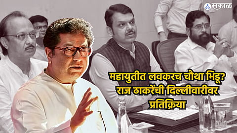 Raj Thackrey on Delhi Visit