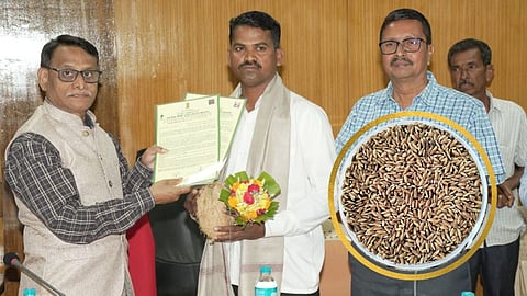 Konkan Agricultural University