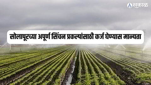 सोलापूरच्या अपूर्ण सिंचन प्रकल्पांसाठी कर्ज घेण्यास मान्यता