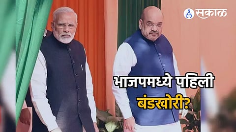 pm modi amit shah
