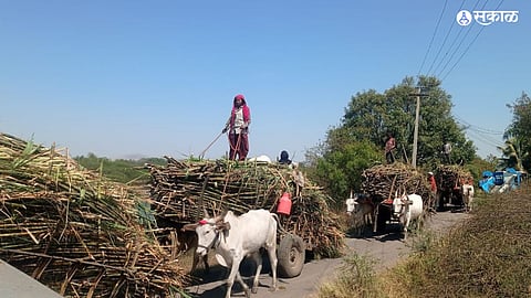 Need to light up working women on International Women Day