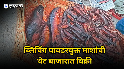 Bleaching Powder Fishing