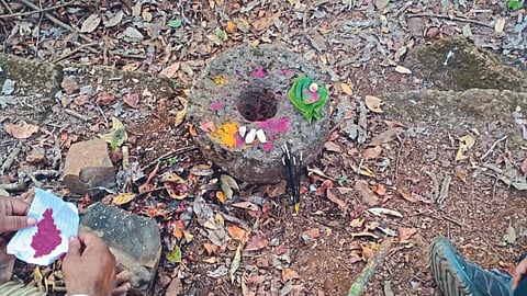 Sahyadri Forest Journey