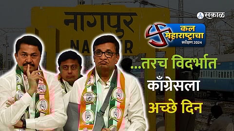 Vidarbha Loksabha Election