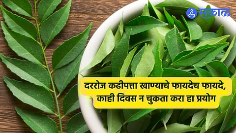 Curry Leaves
