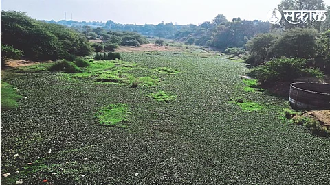 Vinta river which has never flowed this year.