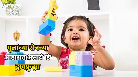 Health Care News : मुलांचा मेंदू होईल शार्प आणि सुपरफास्ट, फक्त आहारात या ड्रायफ्रुट्सचा करा समावेश