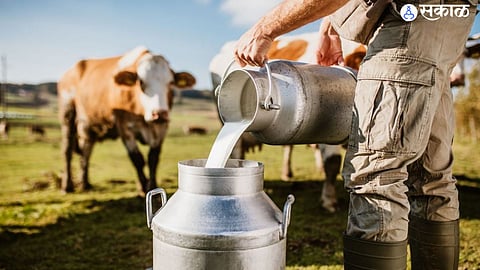 Dairy Development Project (file photo)