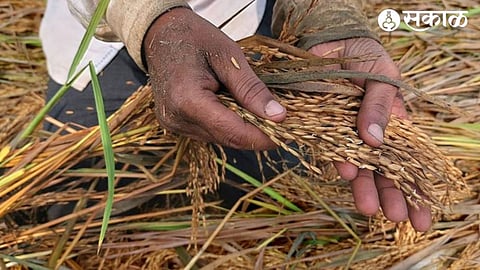 Crop Damage