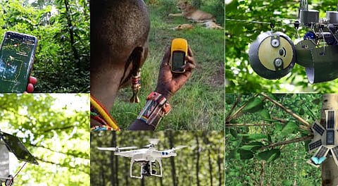 World Wildlife Day Digital Technology