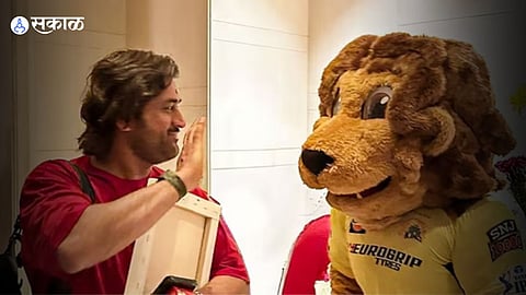 MS Dhoni IPL 2024 Marathi News