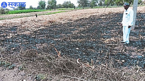 Farmers standing in desperation in case of fire.