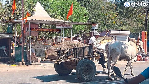 A bullock cart came from Himmatnagar on the main road from Mosam river sand in the camp area.