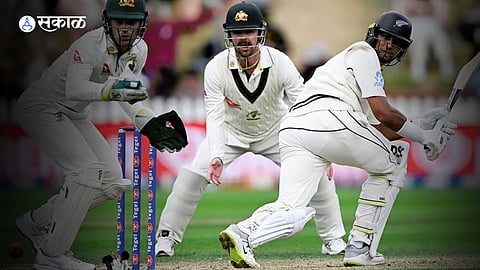 new zealand vs australia Marathi News