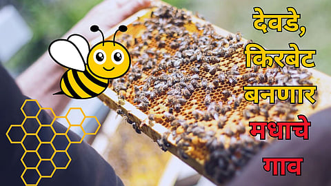 Ratnagiri Beekeeping