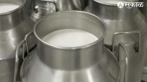 Nashik Milk Rates Hike: शहरात दैनंदिन 3 हजार लिटर दुधाची मागणी वाढली! सणाच्या पार्श्‍वभूमीवर दरात लिटर मागे 10 रुपयांनी वाढ