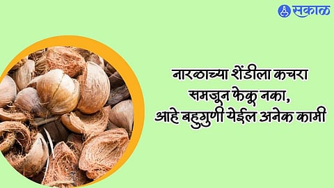 Coconut Husk : नारळाच्या शेंडीला कचरा समजून फेकू नका, आहे बहुगुणी येईल अनेक कामी