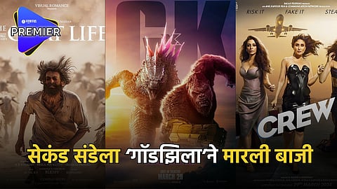 Box Office Collection