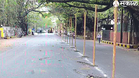 Poles placed in the middle of the road for CBS to Canada Corner road work to be excavated.