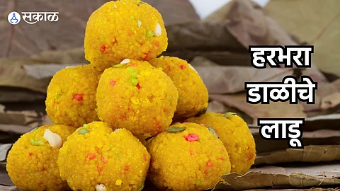 Chana Dal Ladu Recipe : हरभरा डाळीपासून  झटपट बनवा मऊसूत लाडू