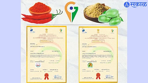 Certificate of declaration of Global Geographical Indication for both Chili Powder and Amchur Powder.