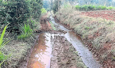 कालव्यातून हजारो लिटर पाणी वाया