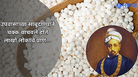 History Of Sabudana: उपवासाच्या साबूदाण्याने चक्क वाचवले होते लाखो लोकांचे प्राण, काय घडलं होतं नेमकं?
