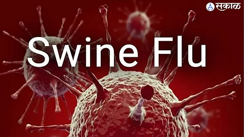 Swine Flu : स्वाईन फ्ल्यूचे 3 रुग्ण; एकाचा मृत्यू, दोघे ठणठणीत