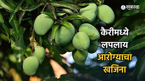 Raw Mango Benefits : उन्हाळ्यात डिहायड्रेशनची समस्या दूर करण्यासाठी फायदेशीर आहे कैरी, जाणून घ्या गुणकारी फायदे