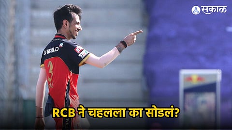 Yuzvendra Chahal | RCB | IPL