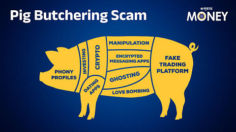 Pig Butchering Scam: ‘पिग बुचरिंग’ फसवणुकीचे नवे तंत्र; शेअर बाजारातील गुंतवणूकदारांनी कोणती काळजी घ्यावी?