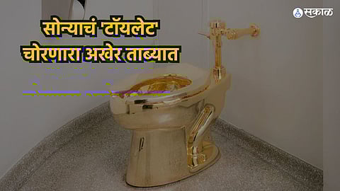 Gold Toilet
