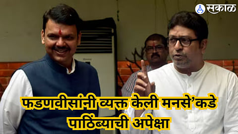 raj thackeray and devendra fadnavis