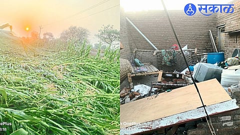 A crop overturned by a storm in the field & The world that came to light when the letters on the house were thrown