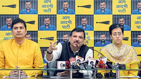 aap ka ramrajya web portal arvind kejriwal and mann govt work ls poll politics