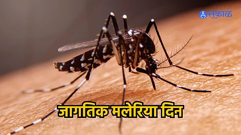 World Malaria Day 2024