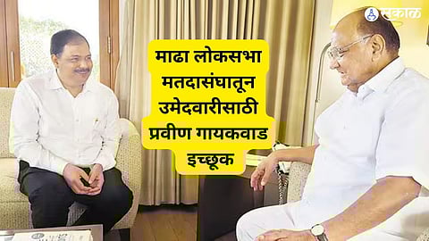 माढा लोकसभा मतदासंघातून उमेदवारीसाठी प्रवीण गायकवाडही इच्छूक