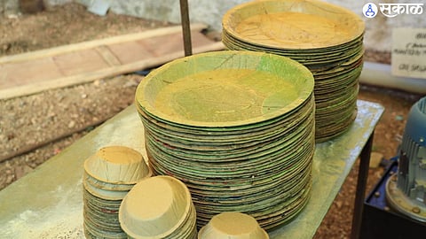 plates of Palash