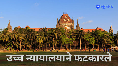 High Court प्रत्येक लहान कंत्राटावर आम्ही लक्ष ठेऊ शकत नाही; याचिकाकर्त्यांना फटकारले