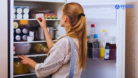 Refrigerator Cleaning
