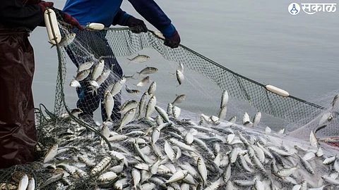 Fishing Business (file photo)