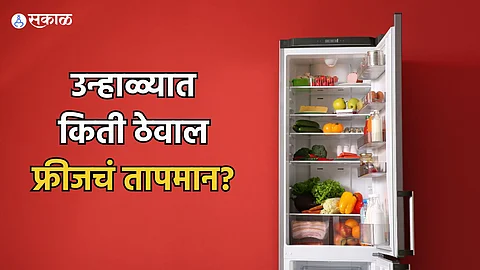 Fridge Temperature in Summer