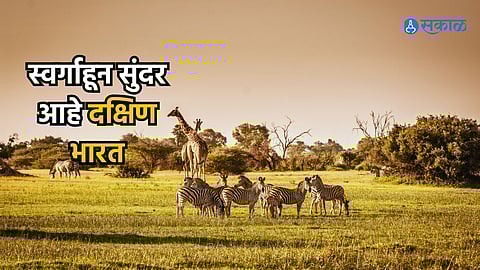 National Park In South India