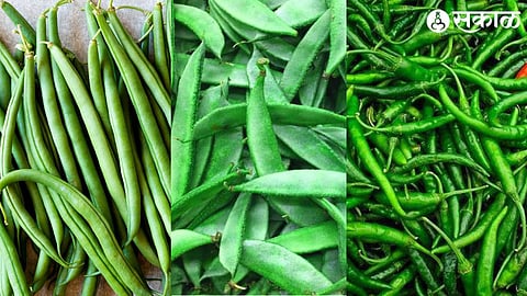 Walpapadi, Ghevda, Green Chilli