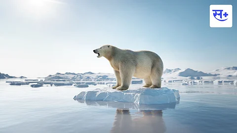 global warming