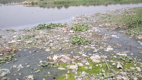 krishna koyana river pollution