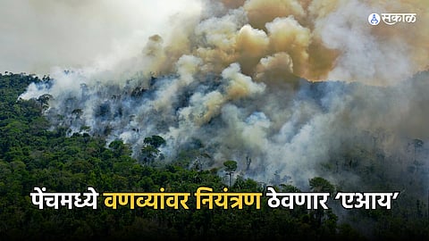 Fire Detection System