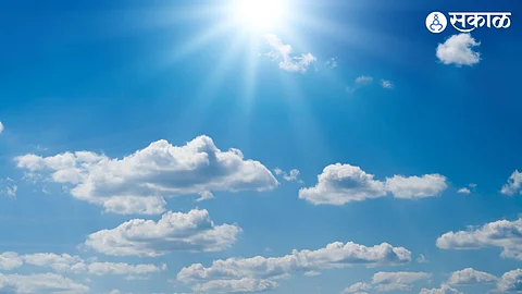 buldhana weather update heat wave water shortage forest animal
