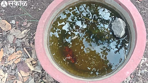 Water is stored in earthen pots for animals and birds.